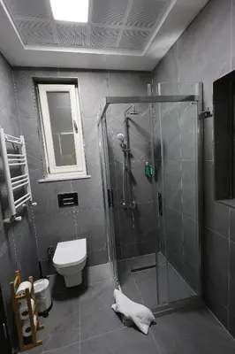 a bathroom with a shower and a toilet at İstanbul Guesthouse in Istanbul