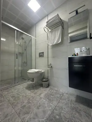 a bathroom with a shower and a toilet and a sink at ASLAN AİRPORT Hotel in Arnavutköy