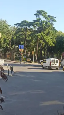 a street with cars parked in a parking lot with trees at Zeplin Otel in Istanbul