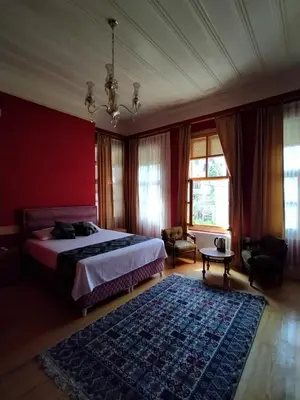 a bedroom with a bed and a blue rug at Anthea Butik Otel in Adalar