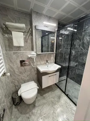 a bathroom with a toilet and a sink and a shower at Fabesco Suite in Istanbul