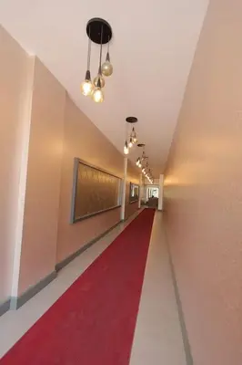 a long hallway with a red carpet and a red carpetllor at Cozy Homes 2 Room Apartment Well Designed in Esenyurt