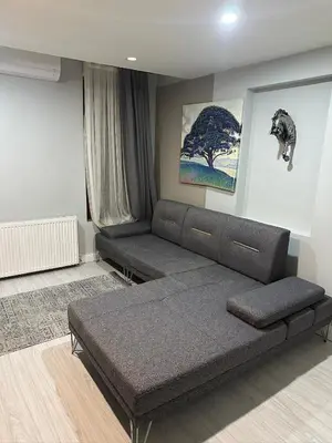 a living room with a couch in a room at Moon suit in Istanbul