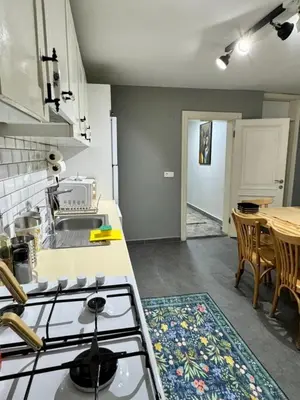 a kitchen with a stove and a sink and a table at Modern Furnished Historical House in Istanbul