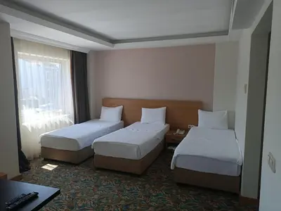 a hotel room with two beds and a desk at Helenapolis Otel in Yalova