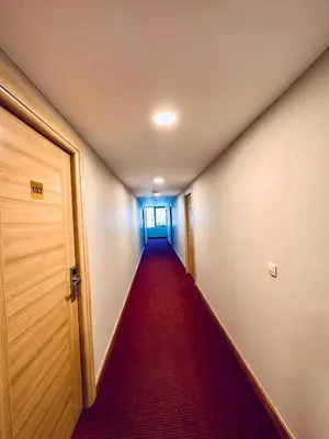a long hallway with a red carpet and a door at The Hera Gold Hotel in Istanbul