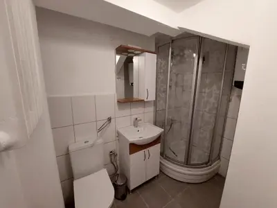 a bathroom with a shower and a toilet and a sink at Stone Garden Apartment in the Heart of the City in Istanbul