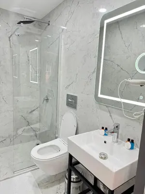 a bathroom with a shower and a toilet and a sink at Robin Hotel in Istanbul