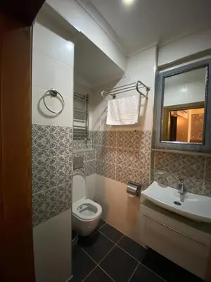 a bathroom with a toilet and a sink at taksim terra suit 2 in Istanbul