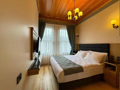 a bedroom with a bed and a window and a television at Abelia Mansion Hotel in Istanbul