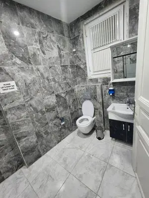 a bathroom with a toilet and a sink at Nostalgia Apartment in Istanbul