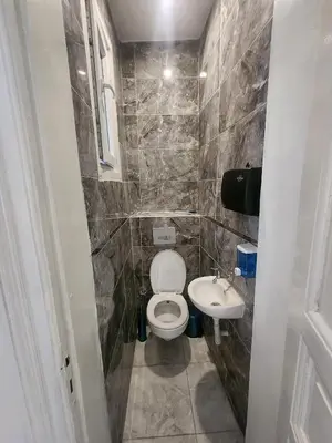 a small bathroom with a toilet and a sink at Nostalgia Apartment in Istanbul