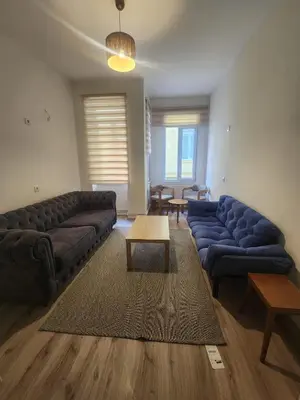 a living room with two couches and a table at Nostalgia Apartment in Istanbul