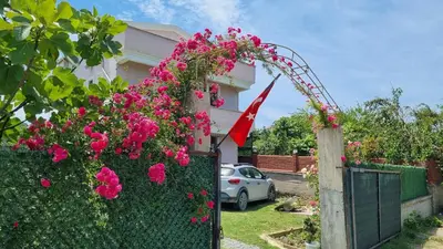 a house with pink flowers on a fence at Close to IST Airport, Sea view& peaceful apartment in Arnavutköy