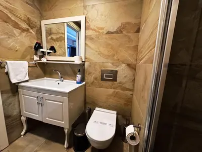 a bathroom with a sink and a toilet and a mirror at Yalı Bahçe Mudanya in Burgaz