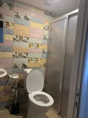 a bathroom with a toilet and a shower at WOODEN House ÜSKÜDAR in Istanbul