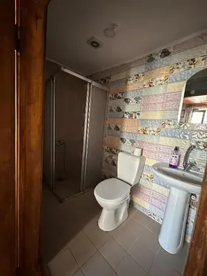 a bathroom with a toilet and a sink at WOODEN House ÜSKÜDAR in Istanbul