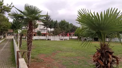 a row of palm trees in a park at Bayramoğlu Suite in Darıca