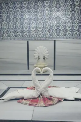 a pair of swans forming a heart in front of a window at Ottoman Hotel Sakarya in Sakarya