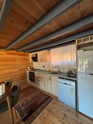 a kitchen with wooden walls and a wooden ceiling at Uysal Dağevleri in Bilecik