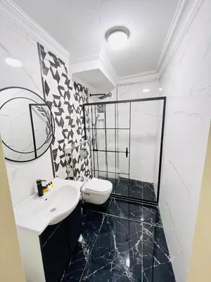 a bathroom with a toilet and a sink and a shower at Pembe Köşk Old City Center in Istanbul