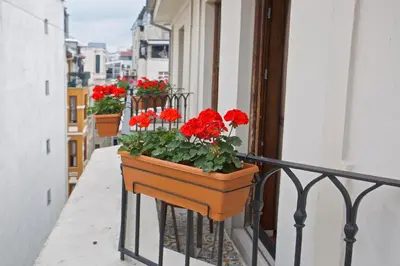 a balcony with red flowers in a pot on a railing at Taxim Lounge Hotel Special Category in Istanbul