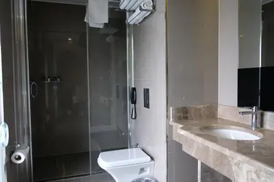 a bathroom with a shower and a toilet and a sink at Royal Capital Hotel Bursa in Bursa