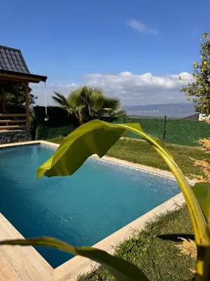a swimming pool with a palm tree next to a house at papatya in Sapanca
