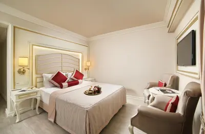 a hotel room with a bed and a tv at Halifaks Hotel in Istanbul
