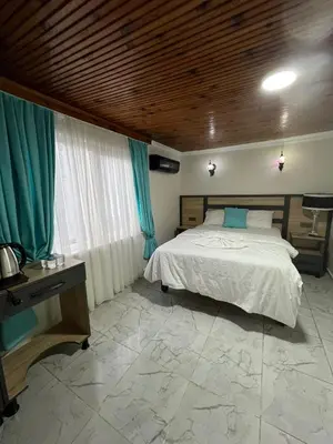 a bedroom with a bed and a desk and a bed sidx sidx sidx at Sultanahmet Sefa Hotel in Istanbul