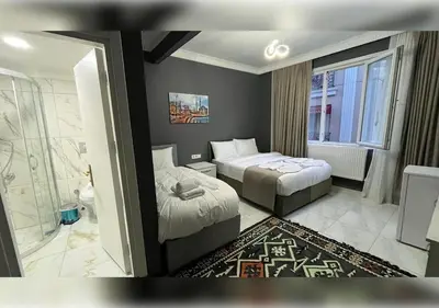 a hotel room with two beds and a shower at Anka Boutique Hotel in Istanbul