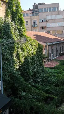 a ivy covered wall in a city with a building at Zulu Suites in Istanbul