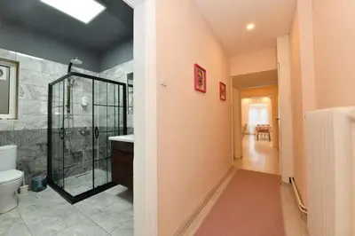 a bathroom with a shower and a toilet at Sevim Apartment in Istanbul