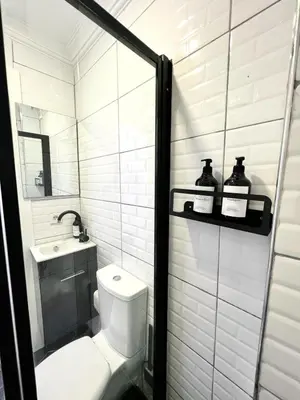 a bathroom with a toilet and a sink at Central 5 Bedroom 5 Bathroom, Newly Renovated Villa at the heart of the city in Istanbul