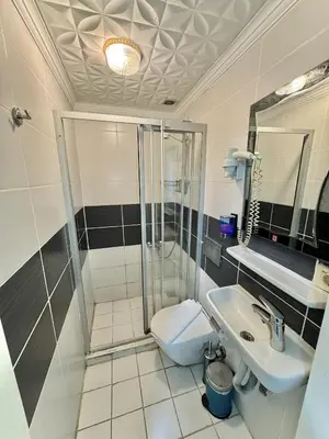 a bathroom with a shower and a toilet and a sink at Taksim Seven Residence in Istanbul