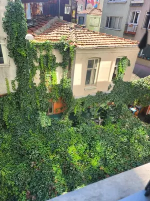 a house covered in ivy in front of a building at KADIKOY merkezi konumda in Istanbul