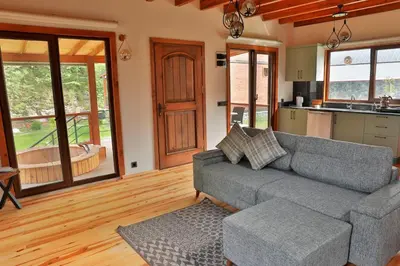 a living room with a couch and a kitchen at Lal Hayal Konakları in Sapanca
