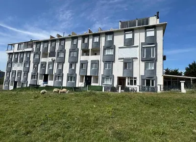 a large building with sheep in front of it at Lina Apart in Arnavutköy