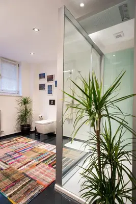 a bathroom with a glass shower and a plant at Istanbul Irini Seaview House in Istanbul