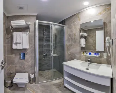a bathroom with a shower and a sink and a toilet at Inntel Hotel Istanbul in Istanbul