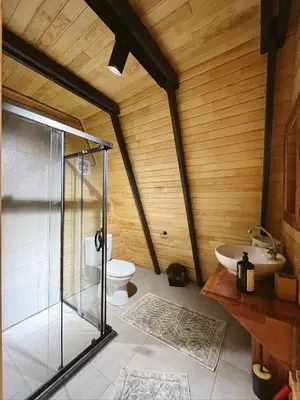 a bathroom with a shower and a sink and a toilet at Wolf house in Sapanca