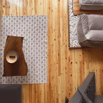 Wolf house