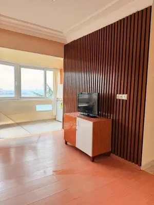 a living room with a tv on a wooden wall at Haliç Konaklama in Istanbul