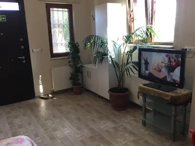 a living room with a tv and some plants at Nerry's Garden İzmit - Camellia in Izmit