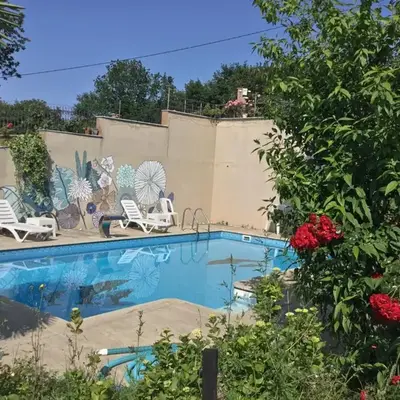 Nerry's Garden İzmit - Camellia