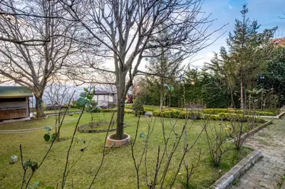 a tree in the middle of a yard at Uludağ Tatil Evleri & Villa Seyir in Yigitali