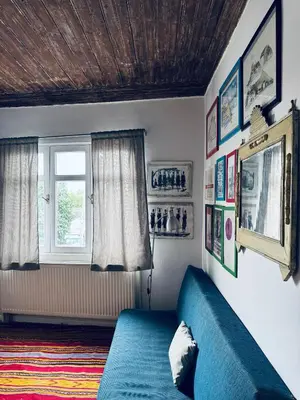 a living room with a blue couch and a window at Roza's Istanbul Homestay in Istanbul