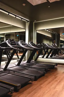 a row of black treadles in a gym at Delta Hotels by Marriott Istanbul Levent in Istanbul