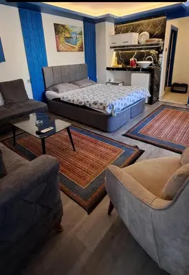 a living room with a bed and two couches at Mavi köşk in Bursa