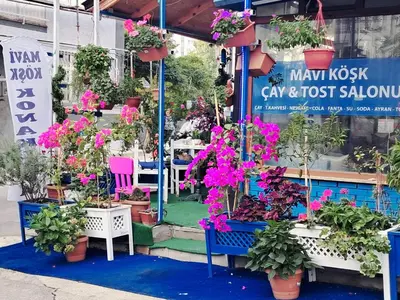 a flower shop with potted plants on display at Mavi köşk in Bursa